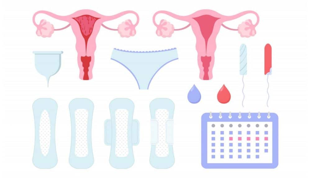 What to Eat to Get Periods? Guide to Regulate Your Menstrual Cycle What to Eat to Get Periods